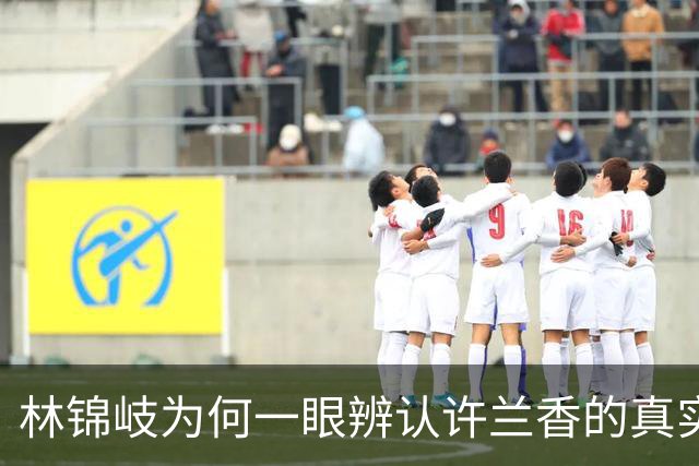 林锦岐为何一眼辨认许兰香的真实身份？
